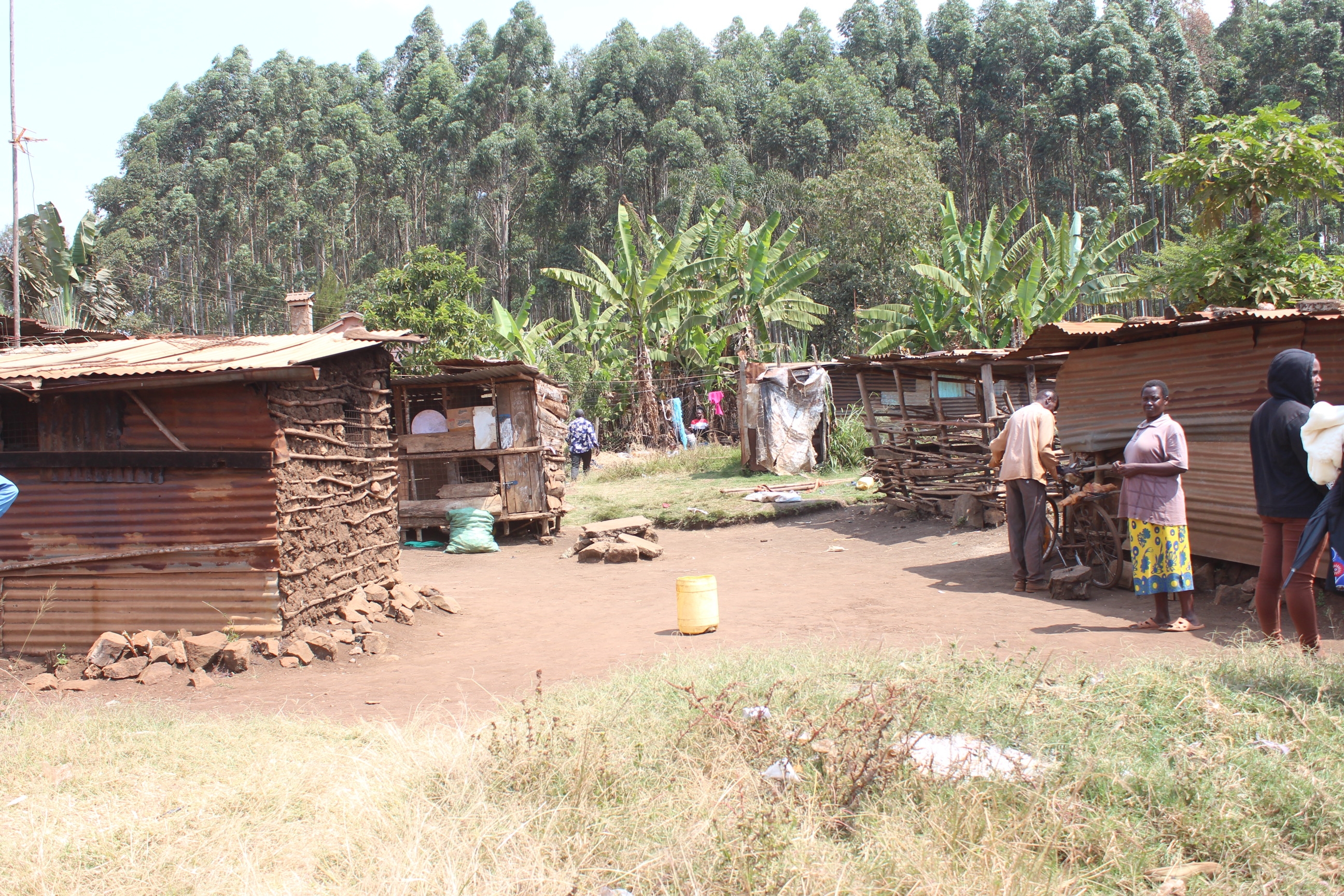 Kakuzi seeks orders to evict squatters from disputed land