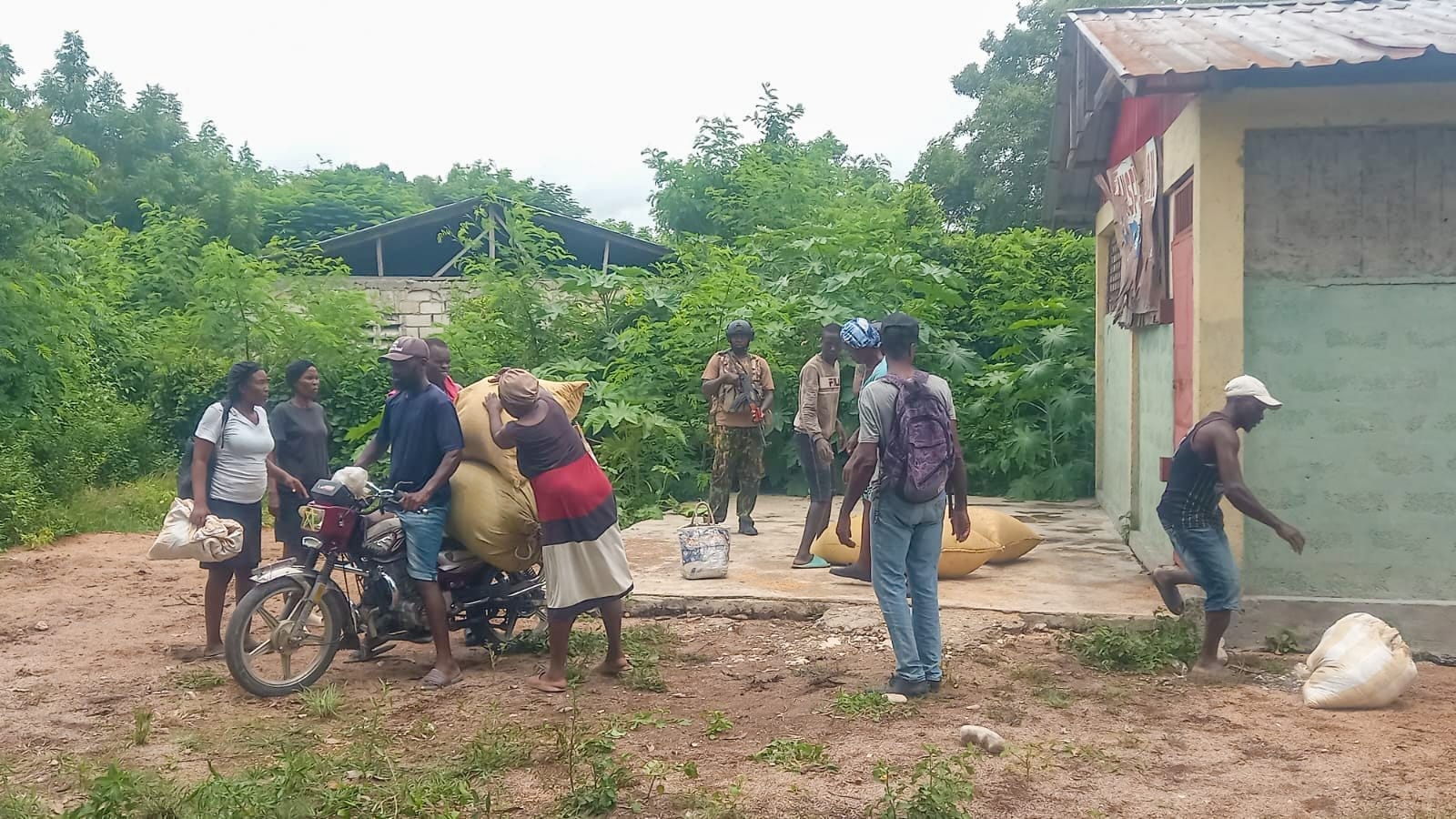 Haitian farmers reclaim harvest under security guard