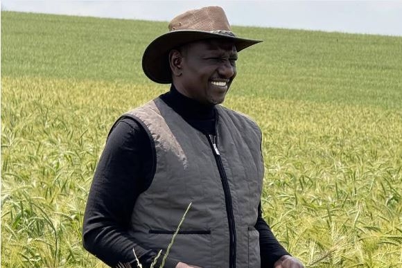 MWAURA: Ruto transforms Kenya in agriculture, jobs creation