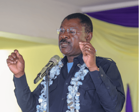 Wetang’ula to ODM MPs: Back Ruto–Raila pact