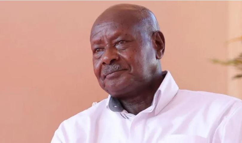 'Abducted' student jailed over anti-Museveni video