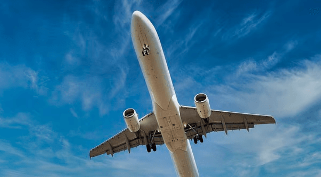 Tourist’s midair punch rampage forces emergency landing