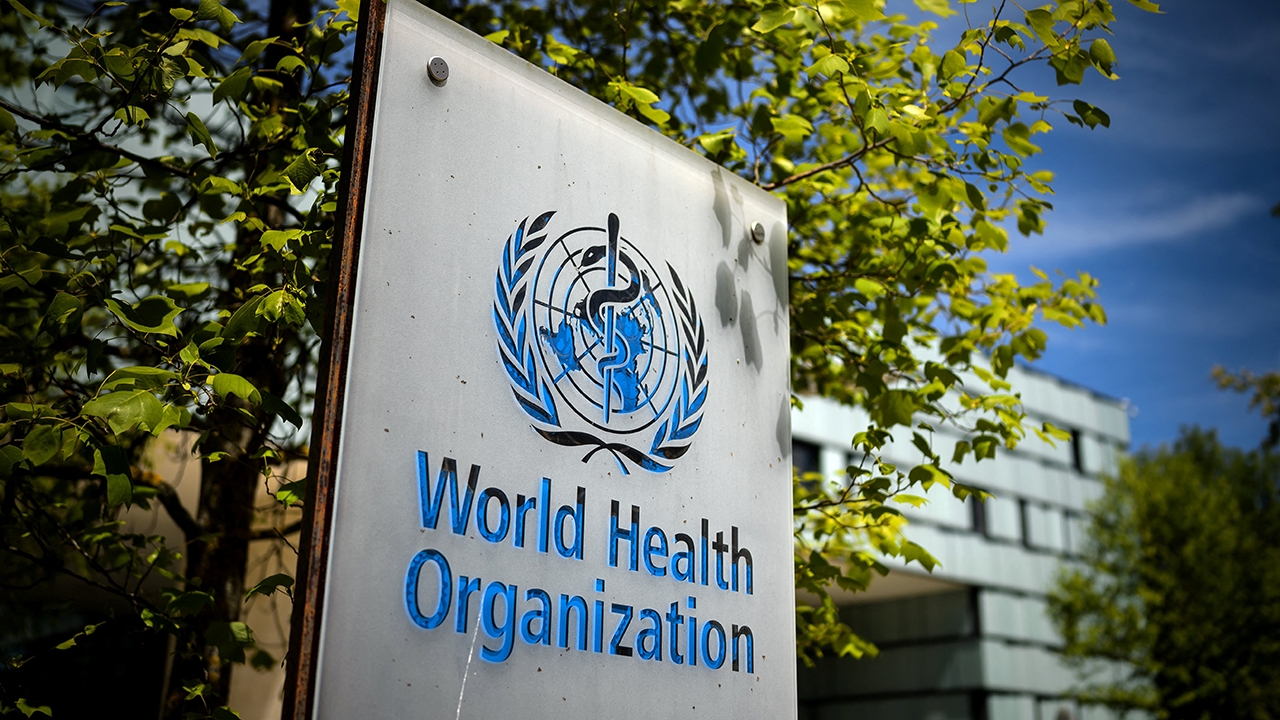 WHO: No evidence links paracetamol use in pregnancy to autism