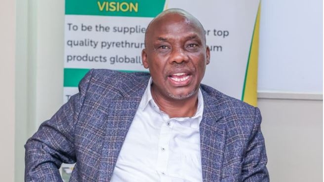 Leadership shift signals new era in reviving pyrethrum crop
