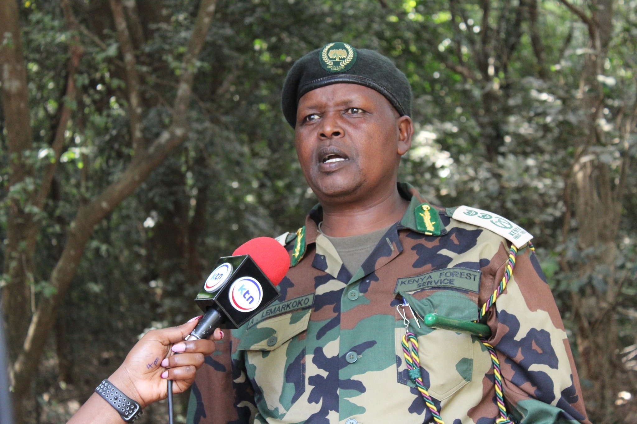 Kenya surpasses 800 million trees in national climate restoration drive