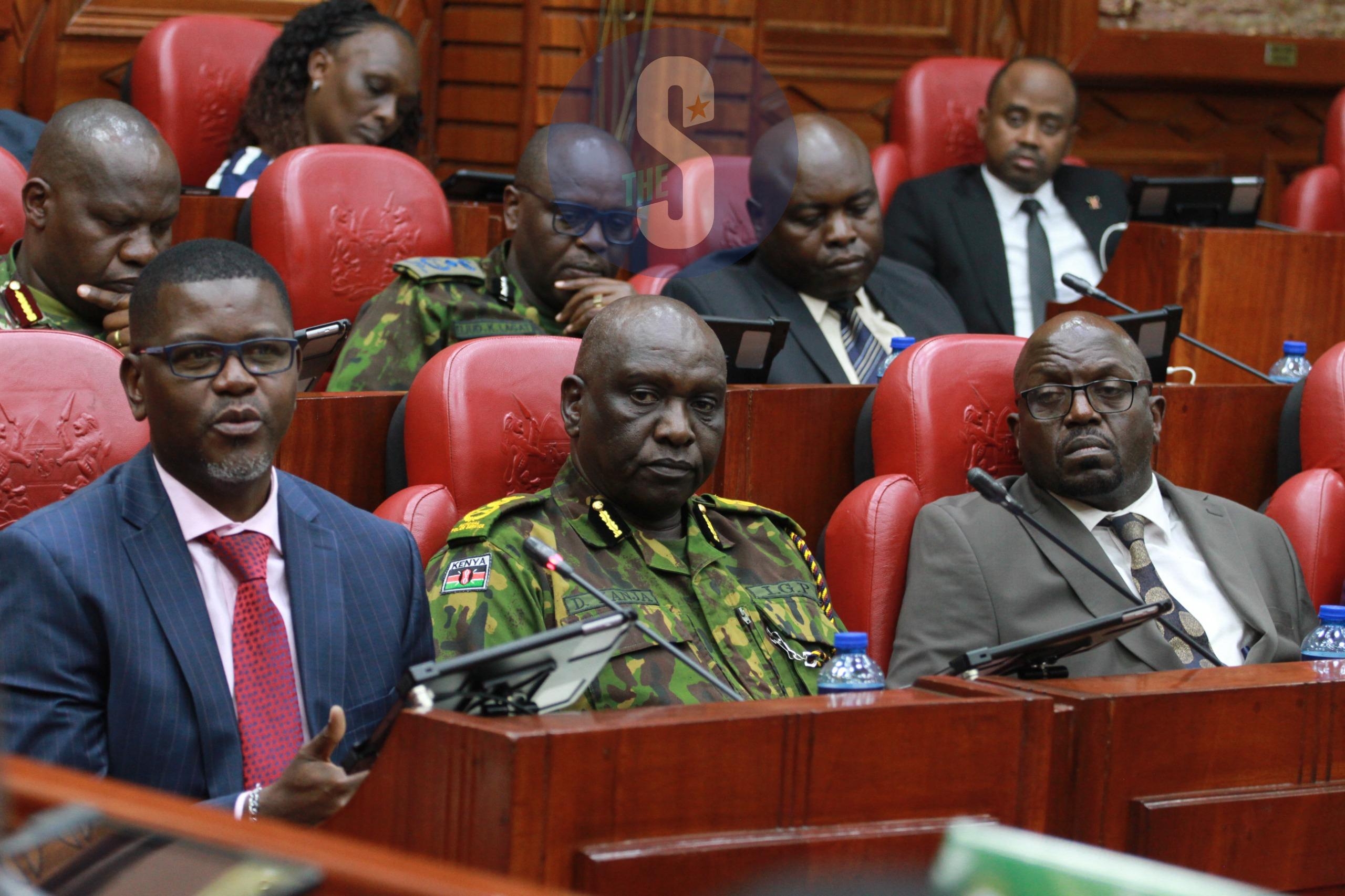 MPs, NPS question proposed online police hiring