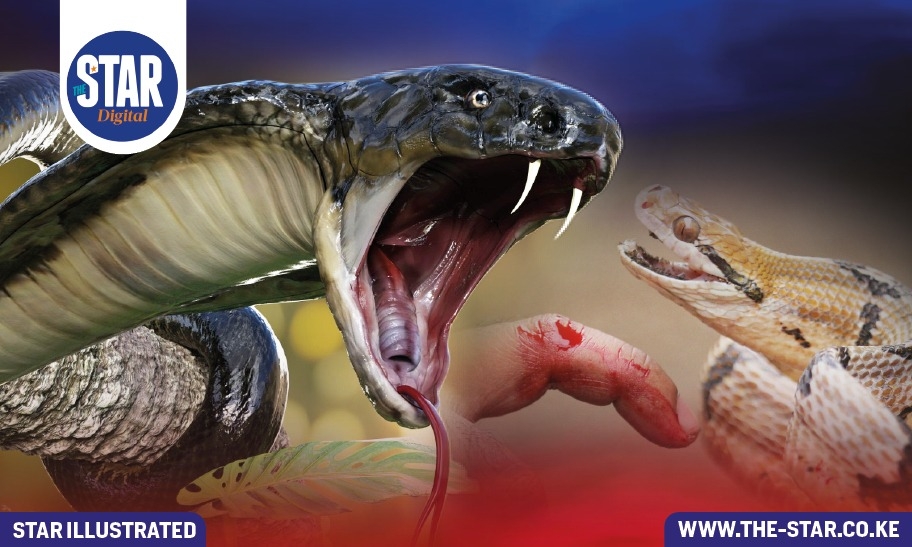 Global snakebite burden: The latest statistics