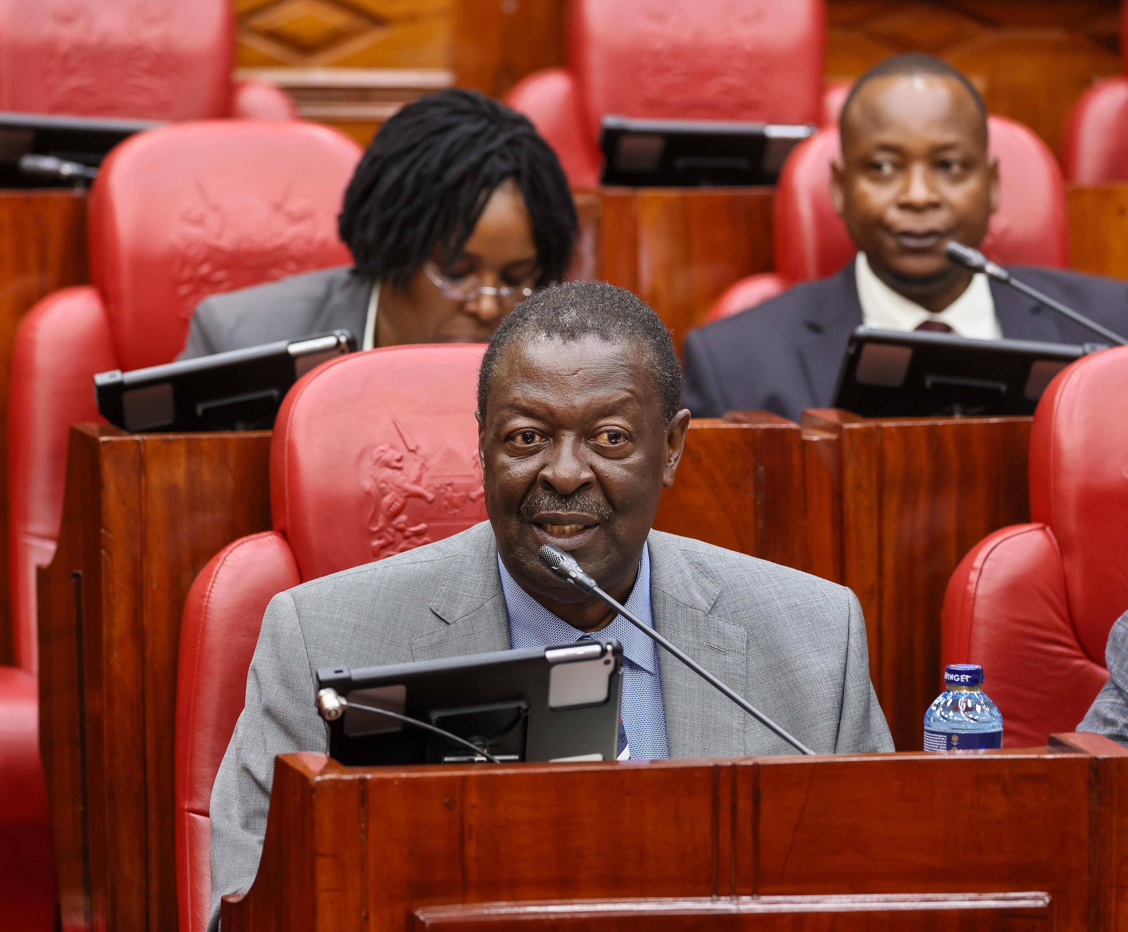 Mudavadi hints at end of Haiti mission, transition to UN force