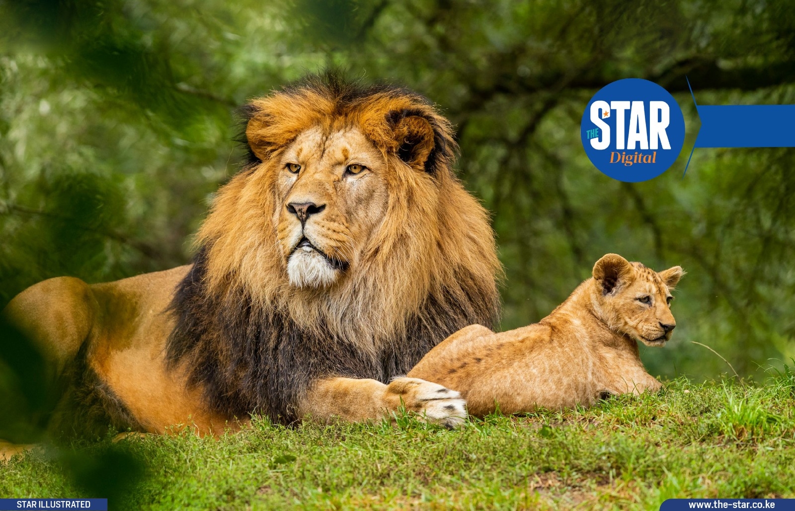 Key highlights of KWS 2025 park fee reforms