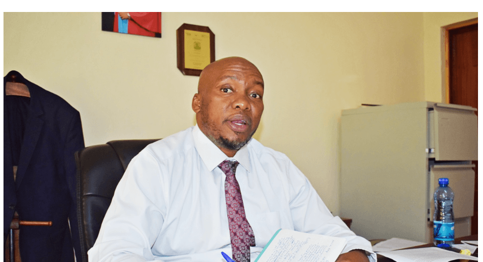 Kitui maize crops fail in poor long rains but hardy varieties thrive