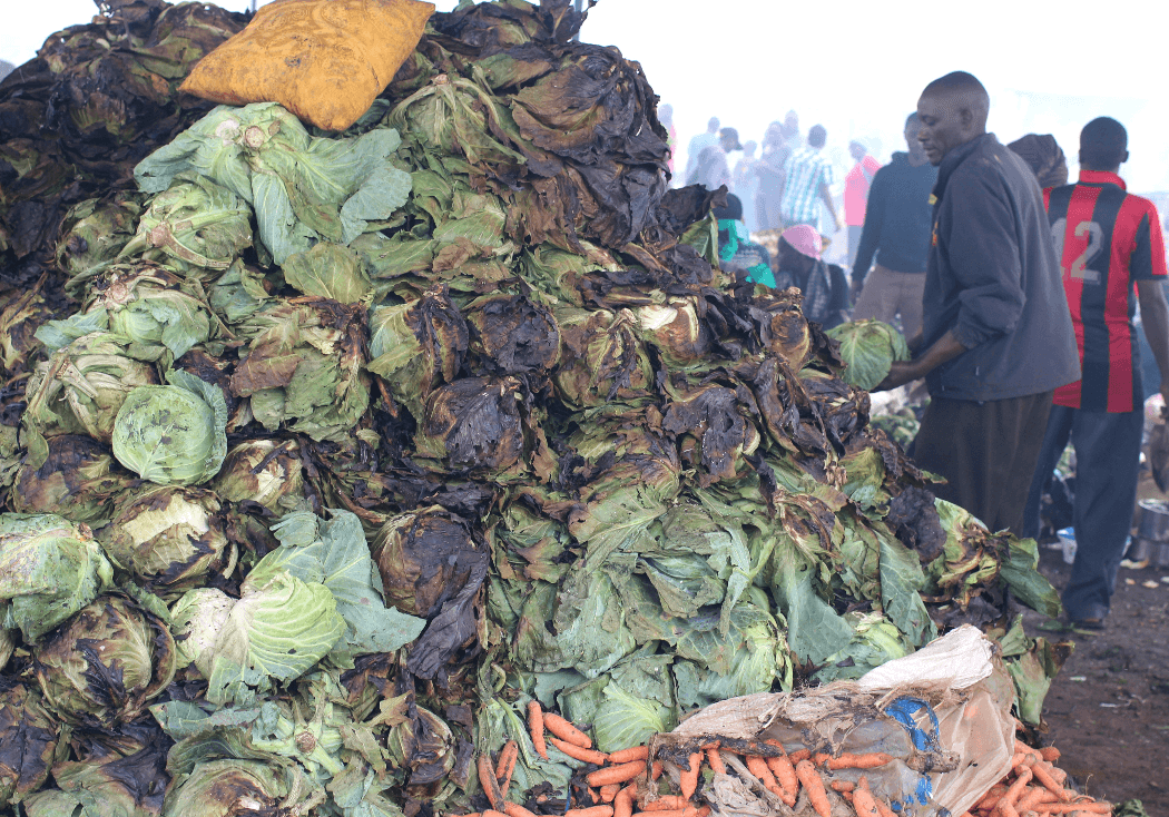 Report: 40% of food in Kenya going to waste as 15 million go hungry