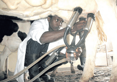 Kenya eyes Algeria as new market for powdered milk exports