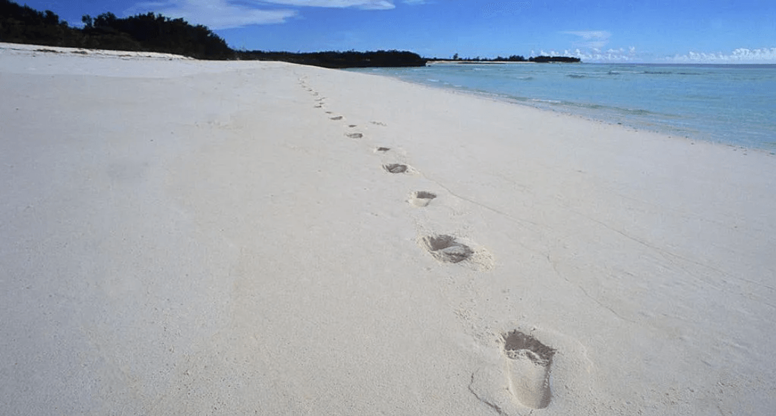 Why a tiny island's fate could decide Seychelles' next president