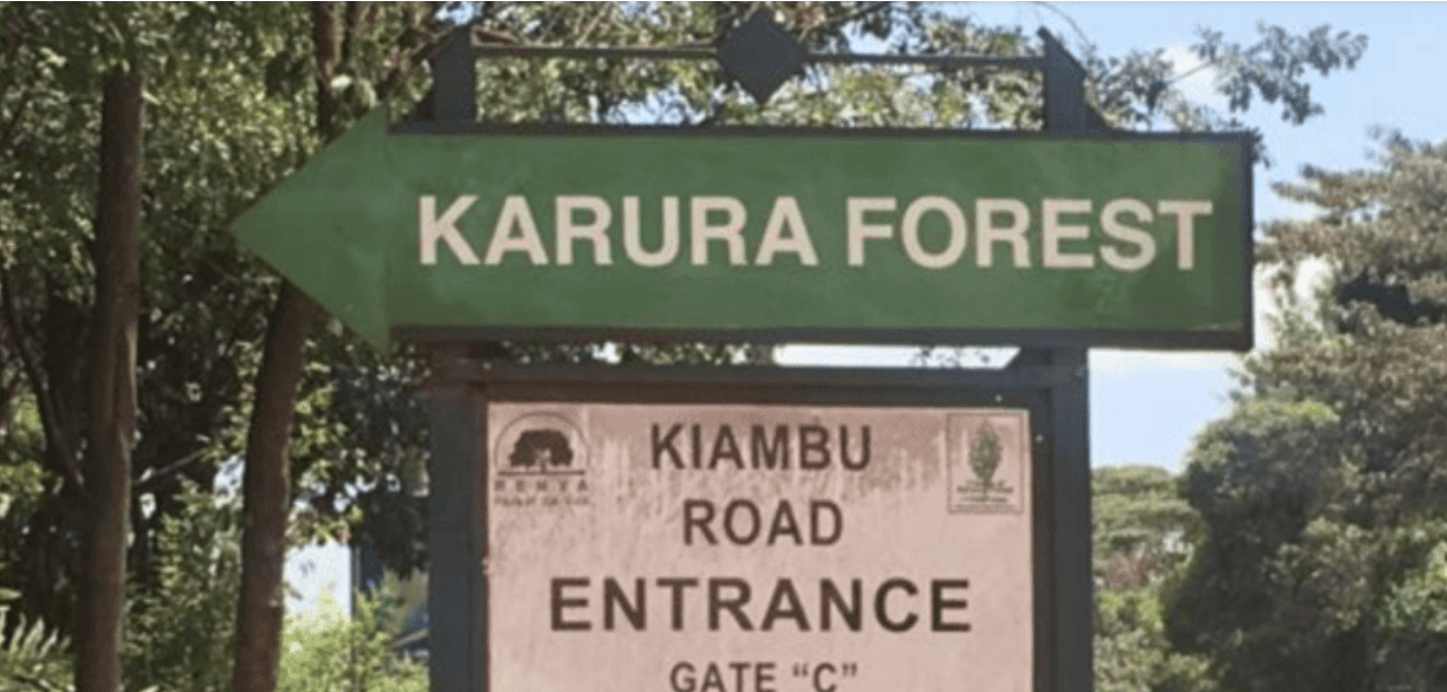 Tussle over Karura forest continues with community seeking to petition CS Barasa