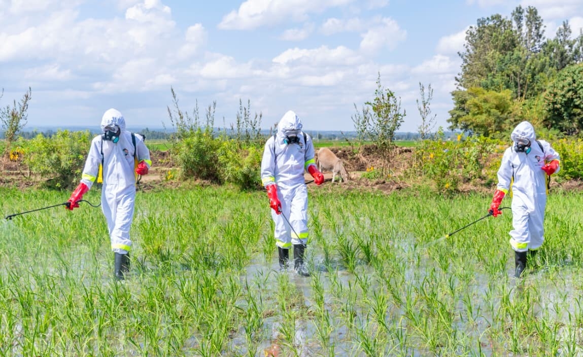 Kirinyaga diseases spike blamed on agro-chemicals