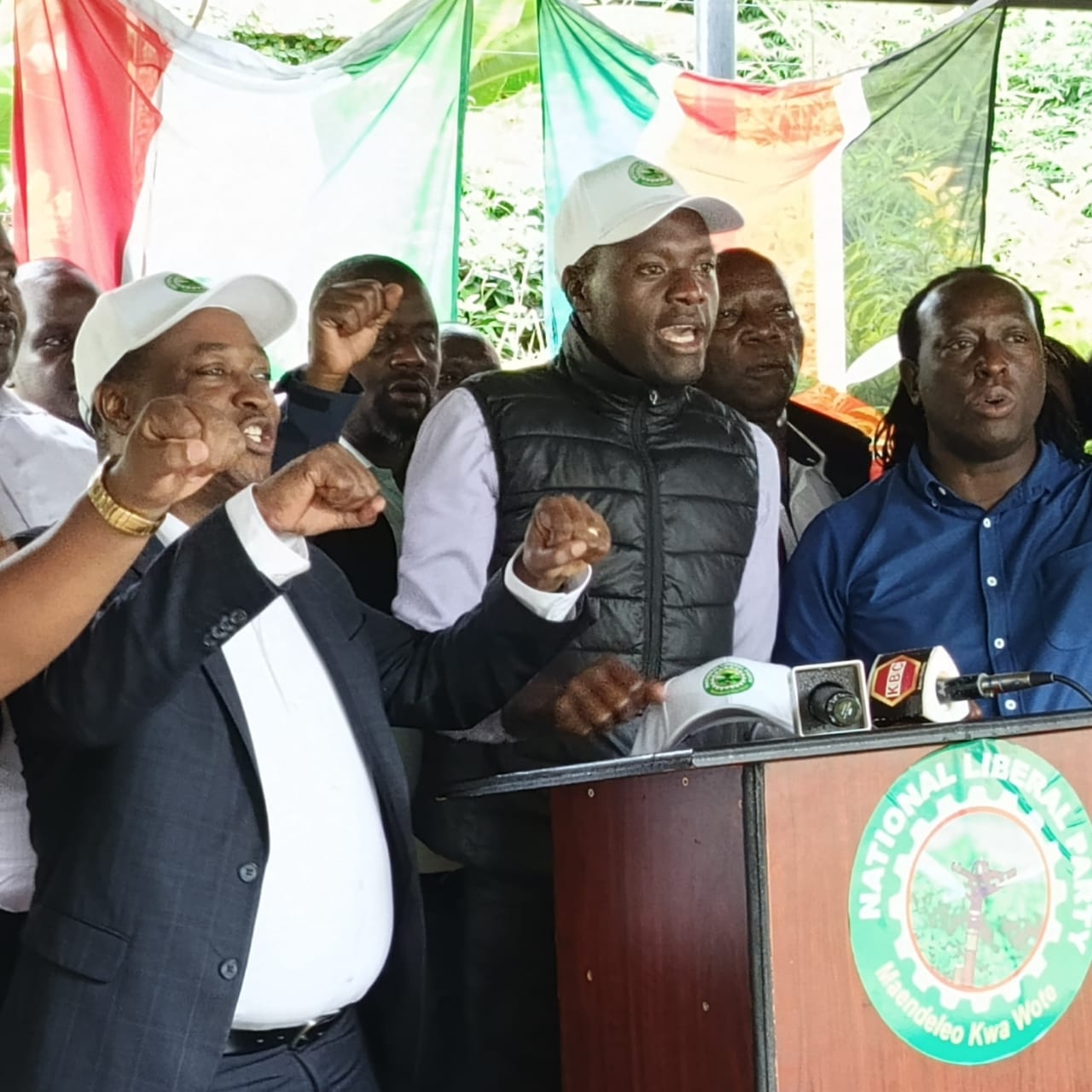 Small parties in fresh bid to access Political Parties Fund