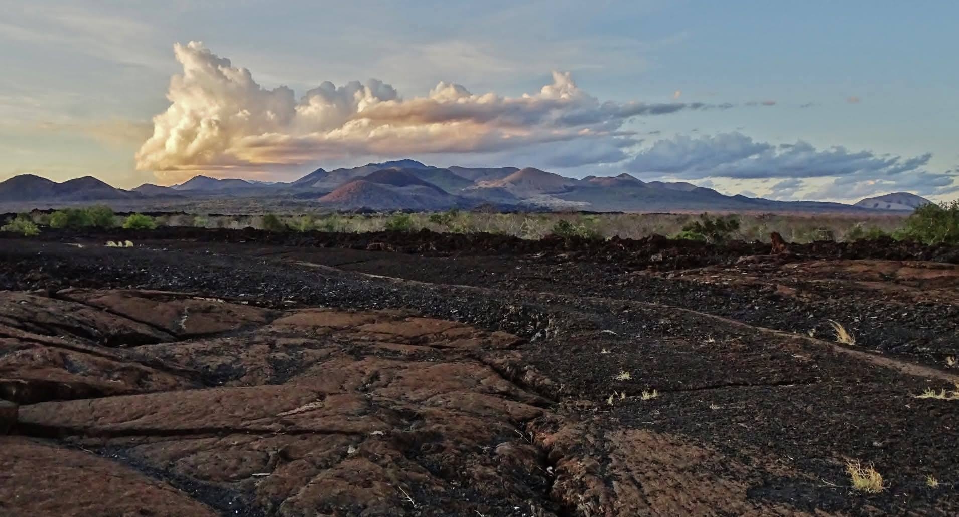 Explainer: What makes Tsavo West a magical wilderness