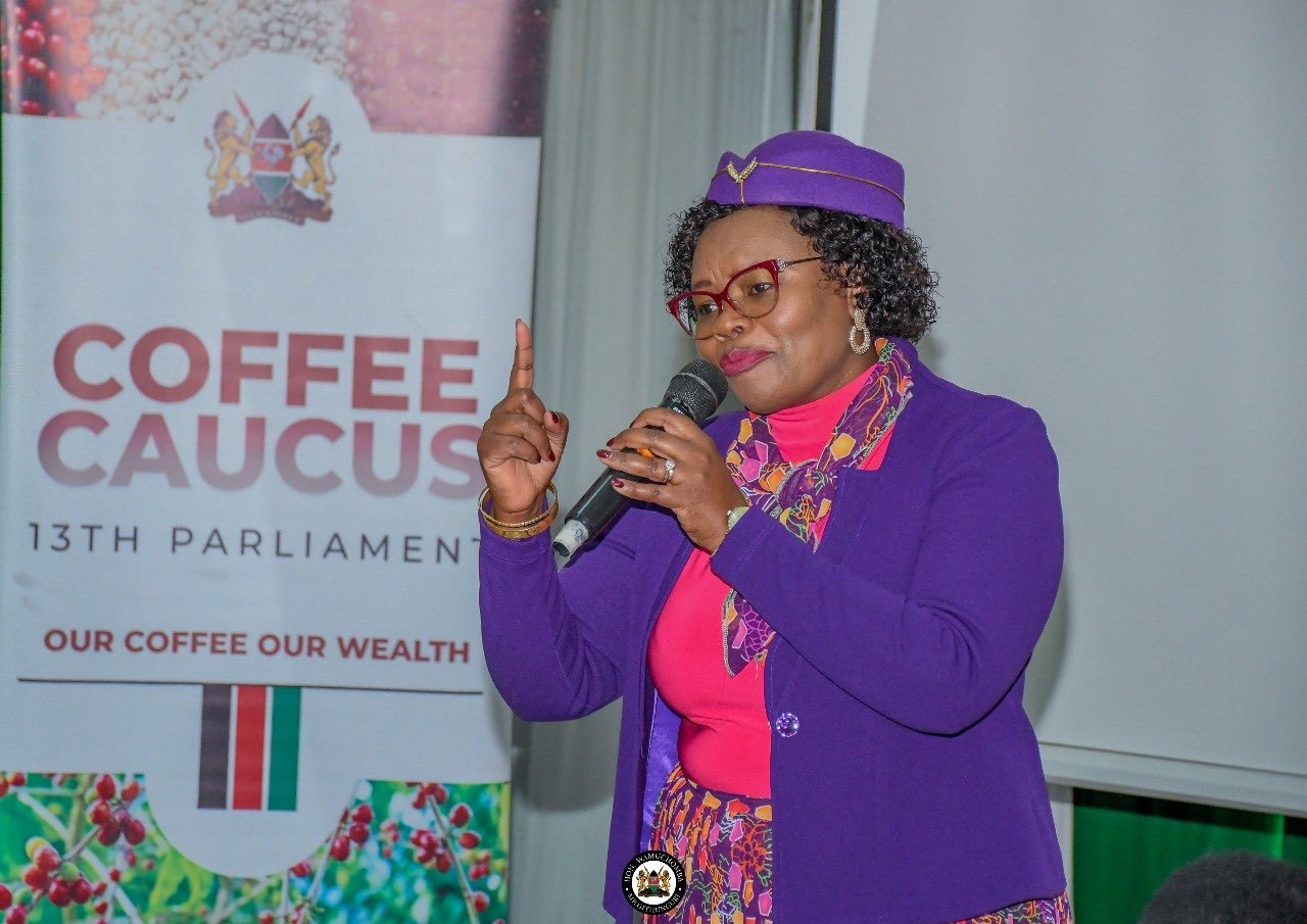 Wamuchomba defends Uhuru amid criticism