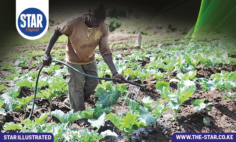 Government interventions driving agricultural productivity