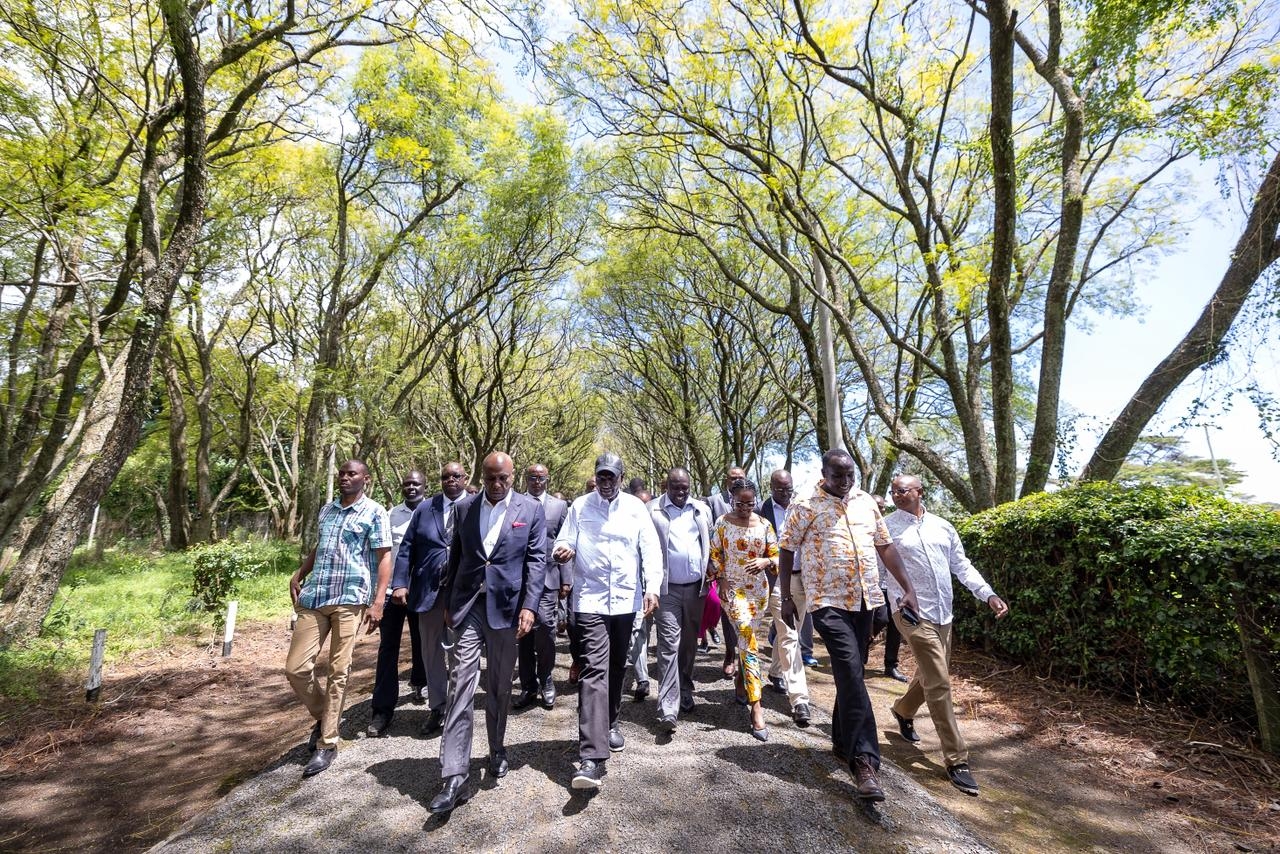 Ruto’s Diary: From State House to Kabarak handshake