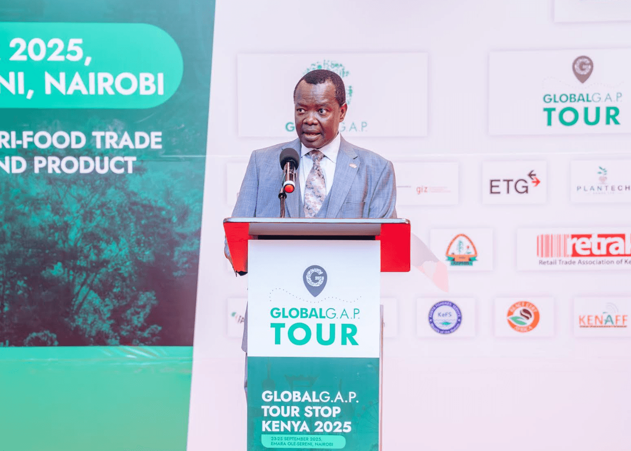 Kenya's biggest export certification meeting kicks off in Nairobi