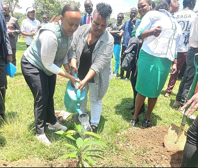 Drive for restoration of Kaimosi water catchment picks momentum