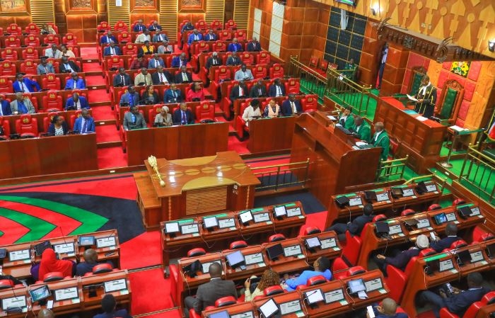 In Parliament this week: MPs approve KPC privatisation framework