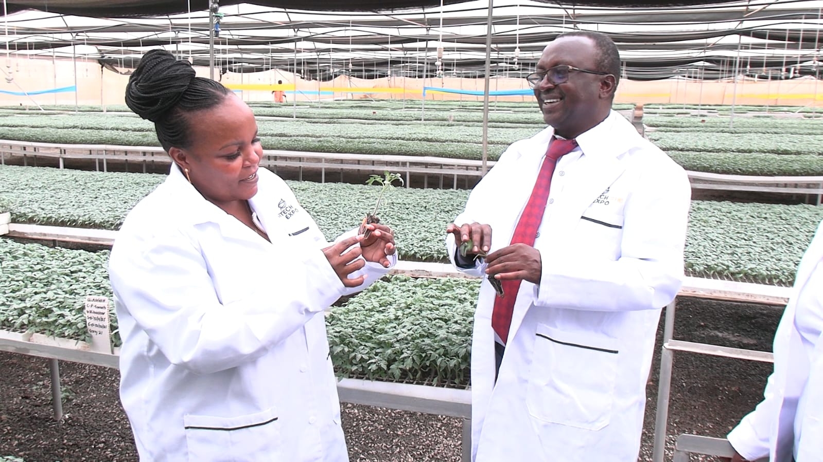 State urged to intensify crackdown on fake seeds, agro-chemicals
