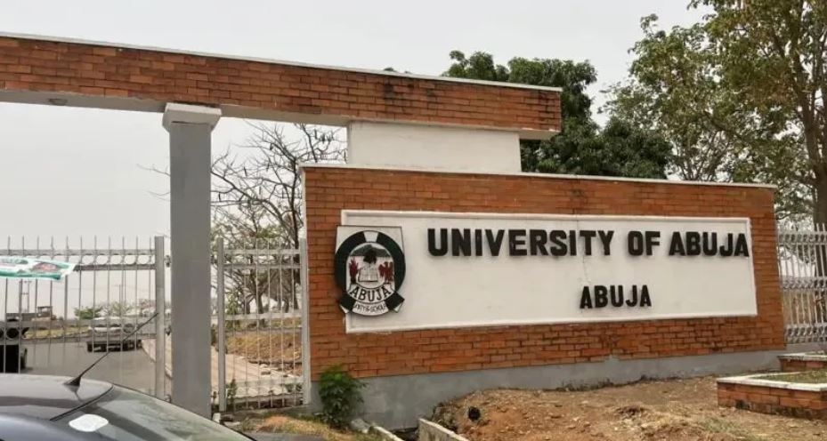 Teaching halted as Nigerian lecturers go on strike