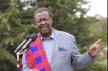 Mudavadi: Strength of shilling depends on tea exports