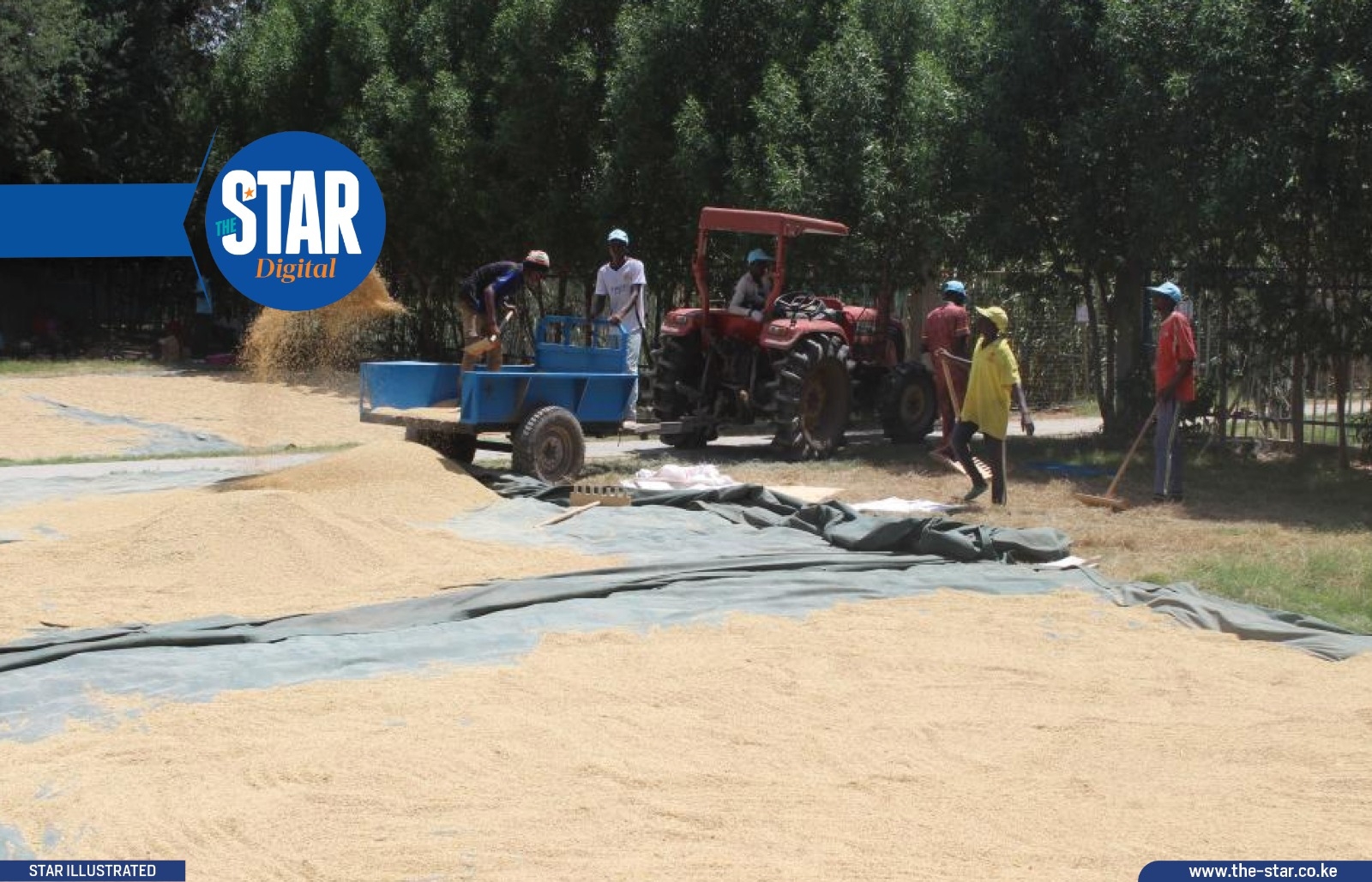 How China's technology is powering Chad's rice revolution
