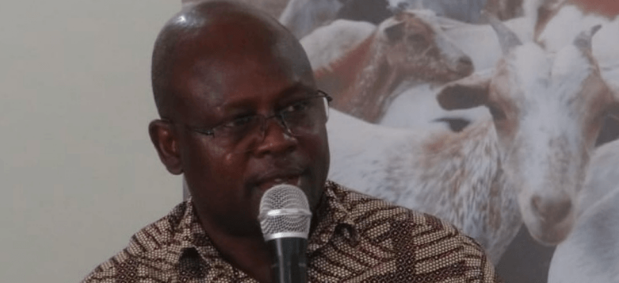 New initiative targets youth to end cross border banditry in Turkana