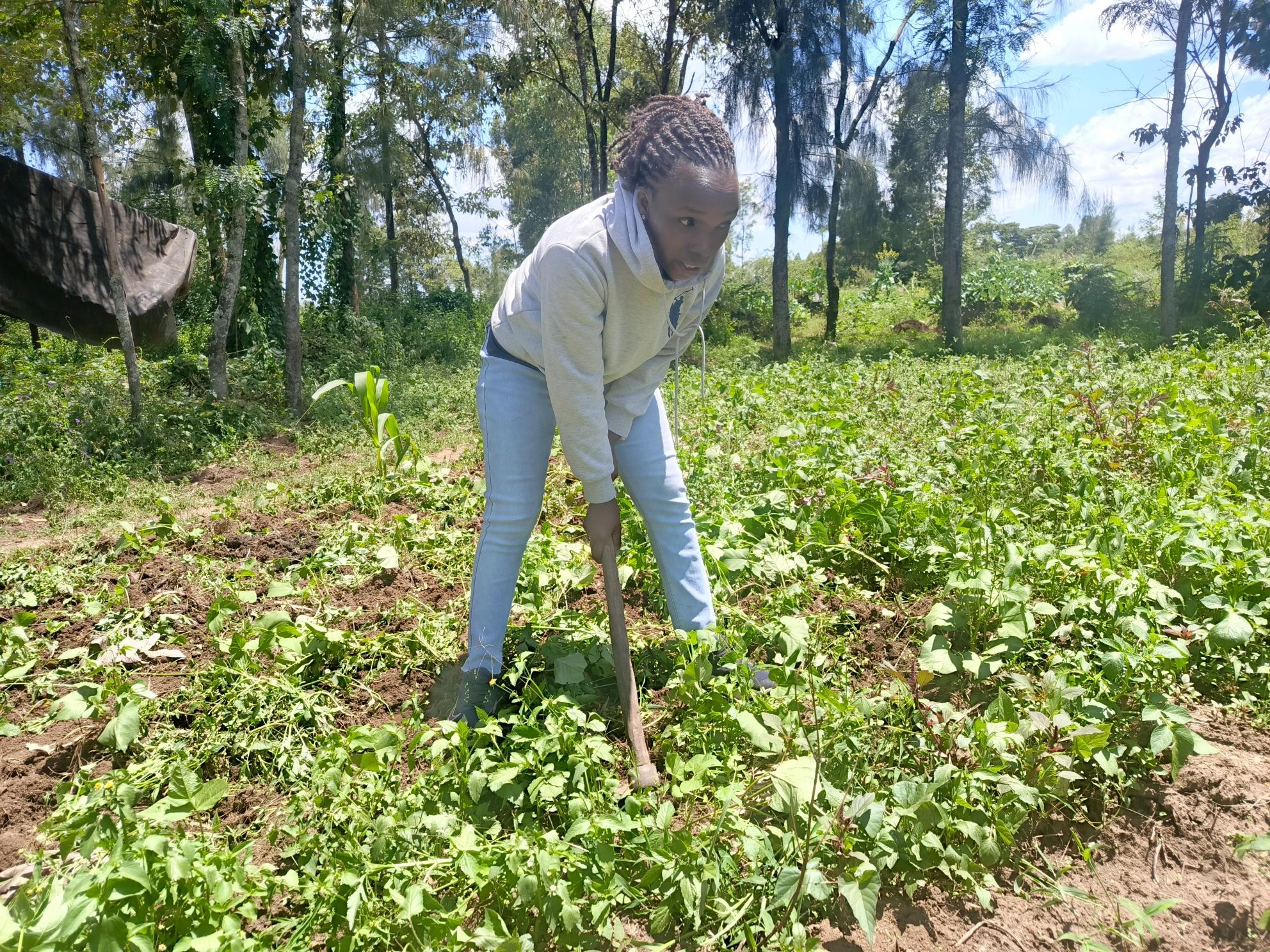 Young woman from Njoro is cultivating a generation of agripreneurs