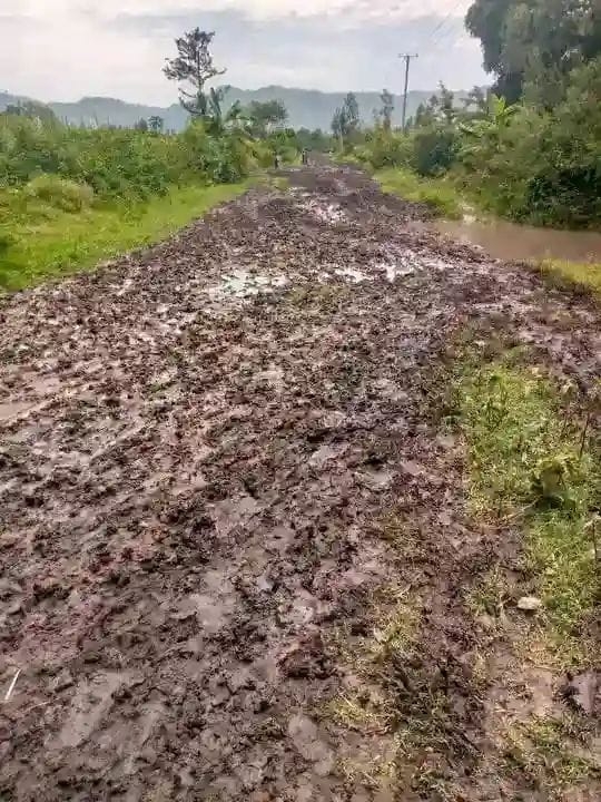 Muhoroni residents protest over deplorable roads