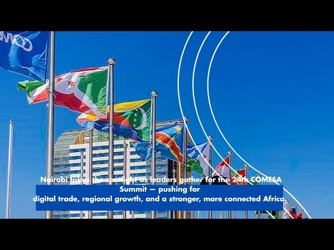 Explainer: 24th  Comesa Summit