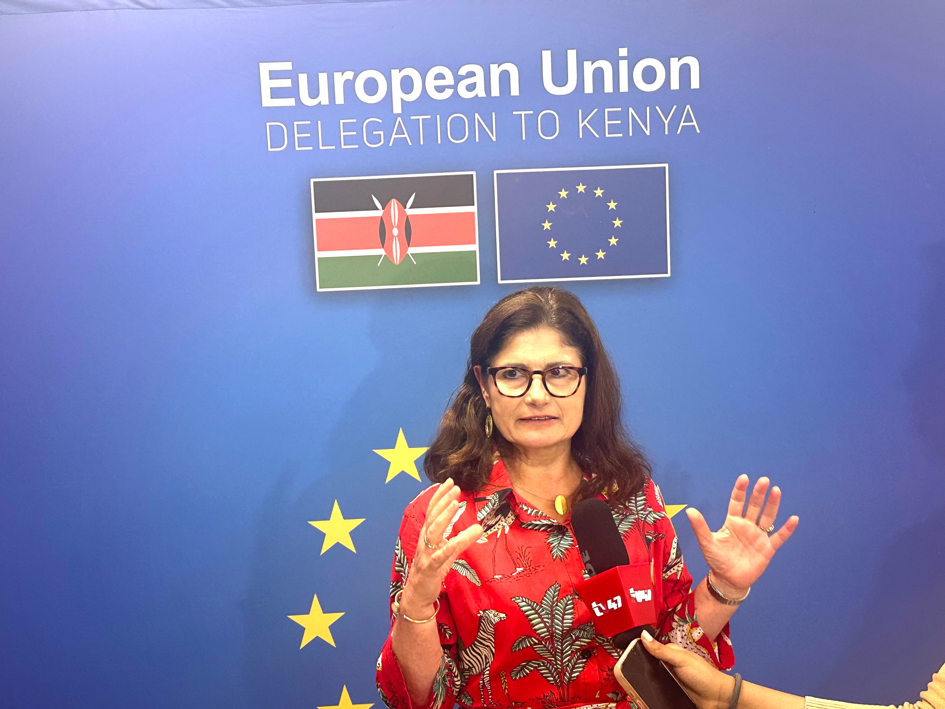 EU envoy proposes trade corridors as Kenya, Uganda feud over Indian Ocean