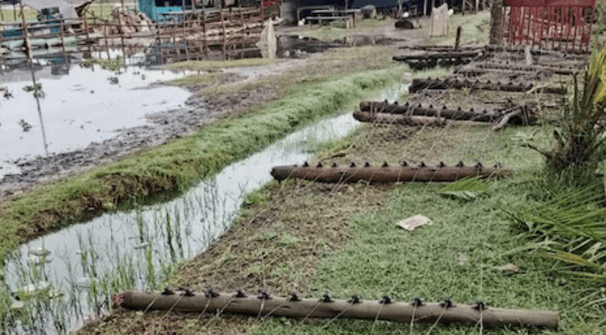 Rising Lake Naivasha sparks violent land clashes in Karagita