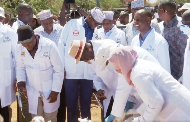 Government, KVA launch E-Voucher livestock drive to boost sector output