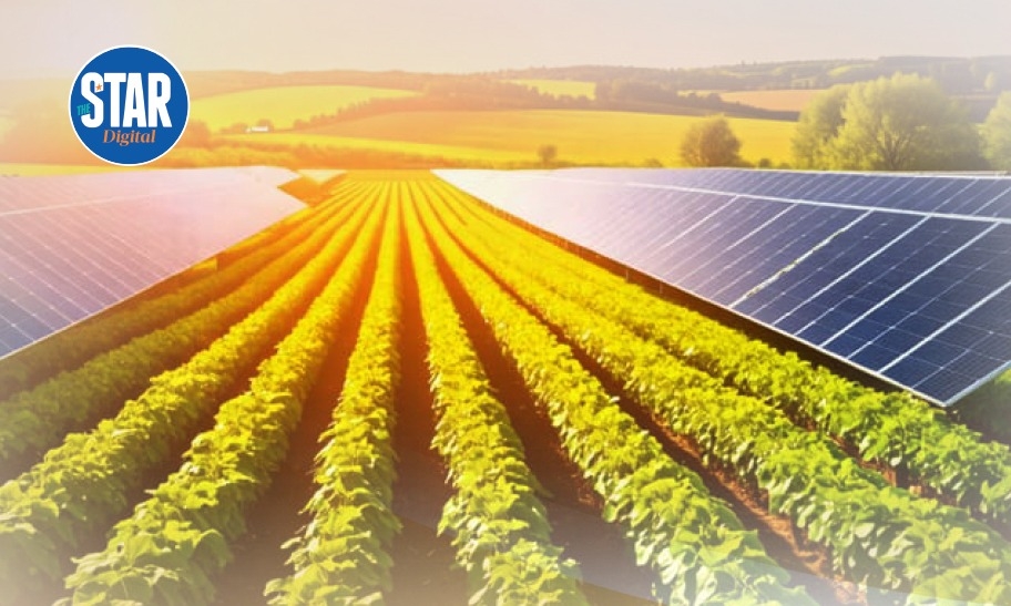 Renewable energy adoption in agriculture by region