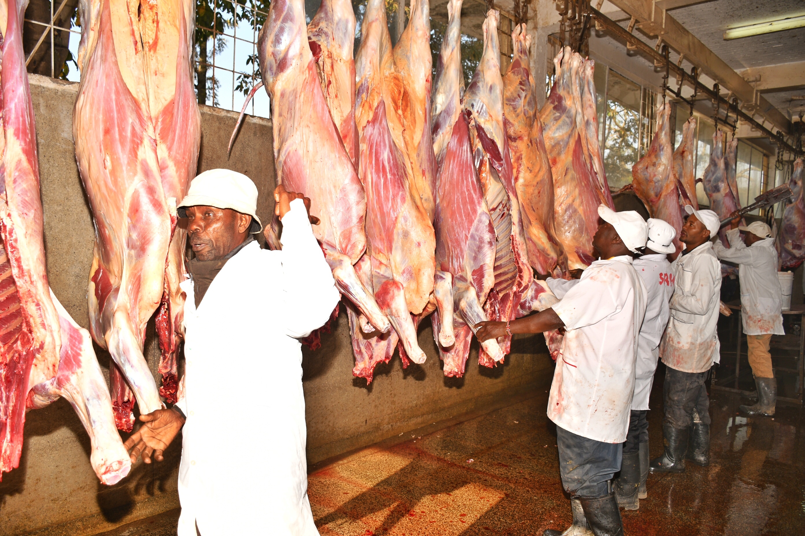 Kenya eyes export boom amid surge in meat demand