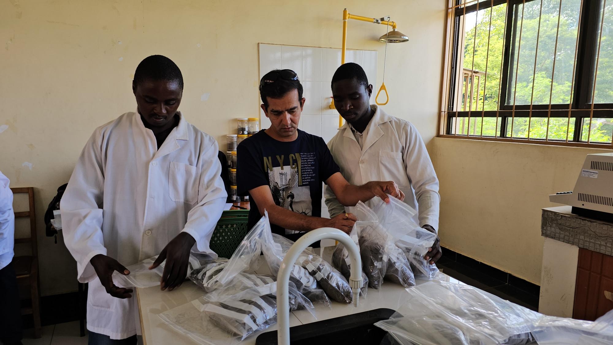 Healthy soil grows food security and climate resilience in Kenya