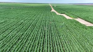 Sh2.9 billion Galana Kulalu power project to be completed by mid-next year