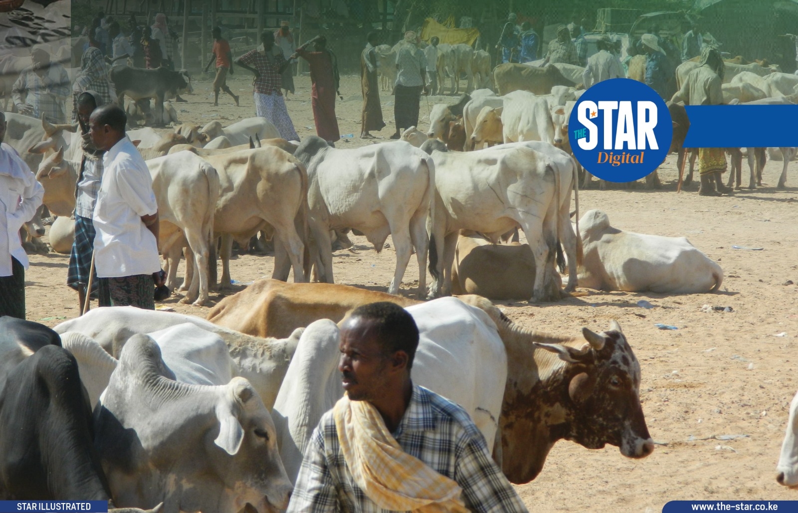 The least competitive counties in Kenya