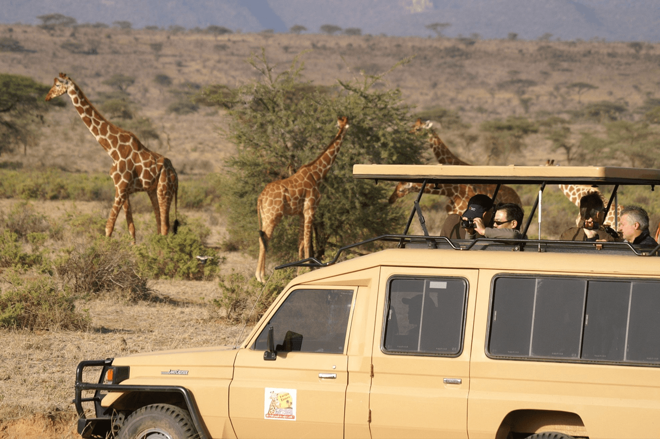 Multiple fees to hurt Kenya's tourism appeal