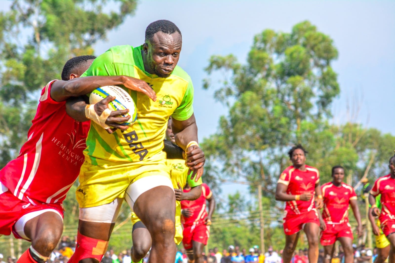 Champions Kabras begin quest for fifth consecutive Kenya Cup title