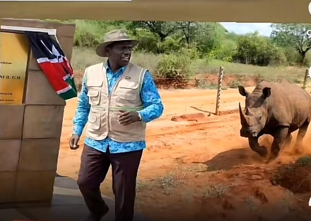 Video of ‘Rhino chasing Ruto’ is AI generated