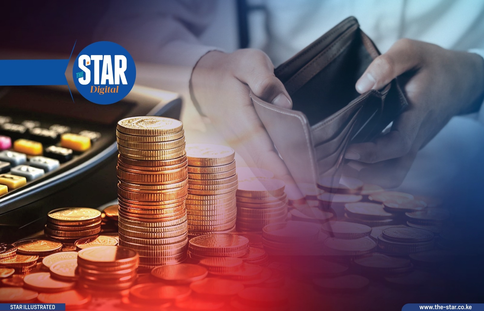 Composition of public sector wage employment ['000]