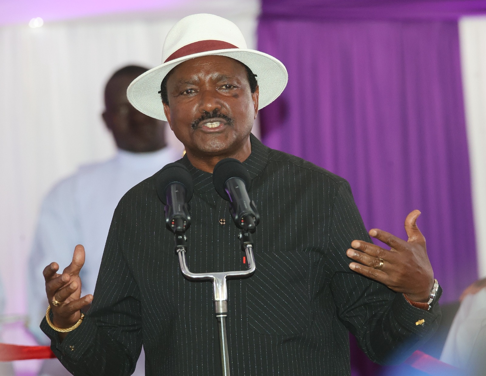 Kalonzo calls for continued fight for justice in honour of Raila, Beryl