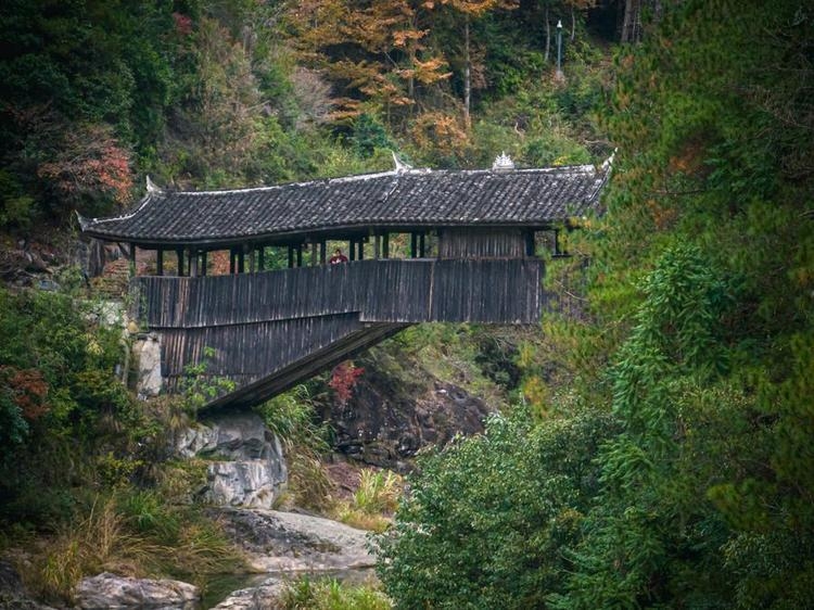 Commentary | Cultural exchanges help bridge global divides