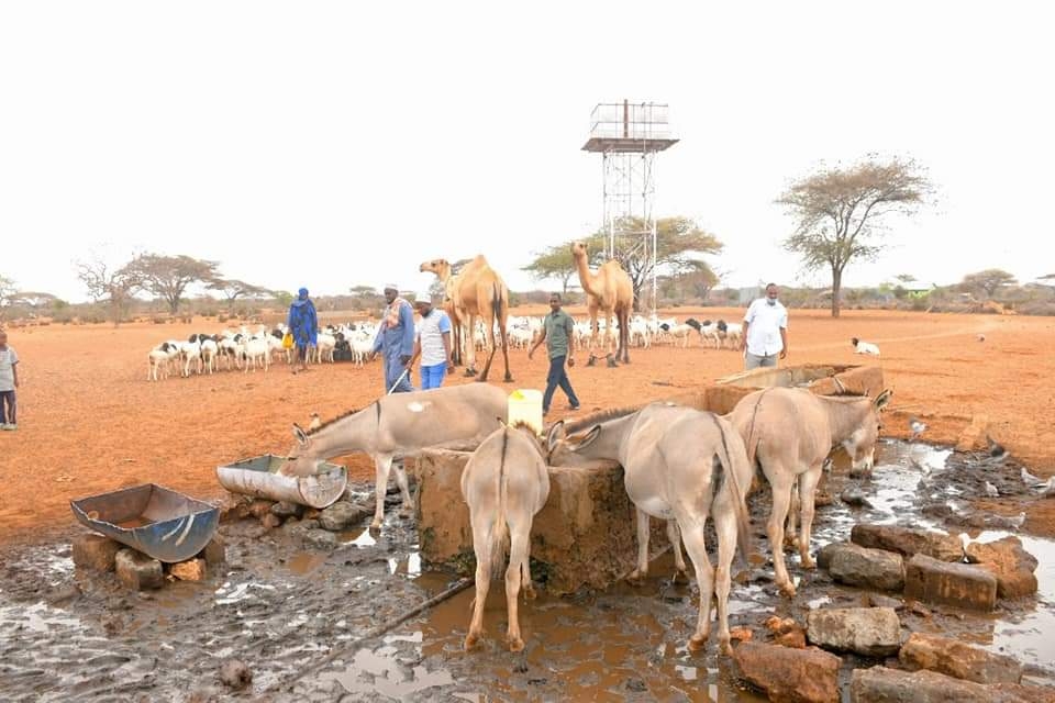Jamhuri Day splurge in Mandera tone-deaf amid biting hunger – Kerrow